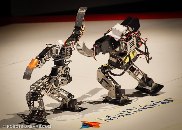 robot fighting robot fighting